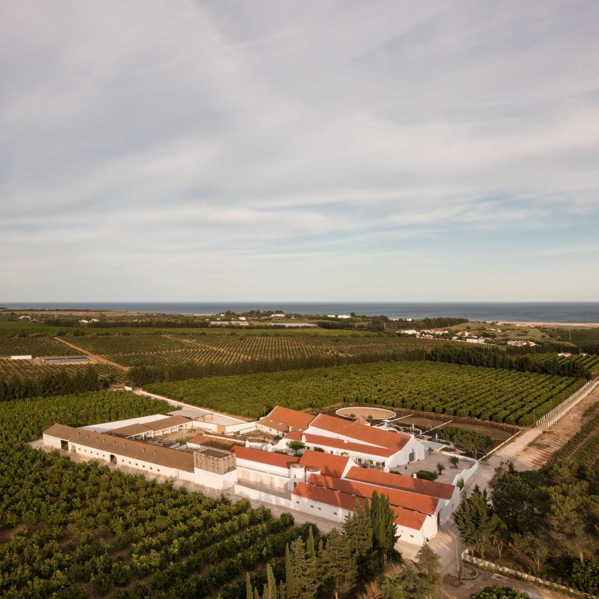 Casas Da Quinta De Cima Villa Vila Nova de Cacela Kültér fotó