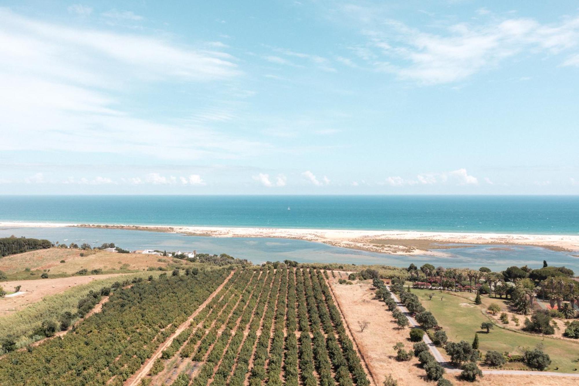 Casas Da Quinta De Cima Villa Vila Nova de Cacela Kültér fotó